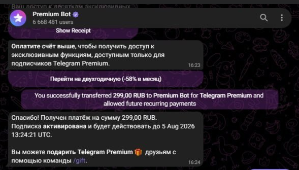 Шаг 6: успешная оплата и активация подписки